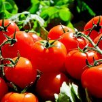 What Are The 4 Types Of Consumer Products Marketing 150x150